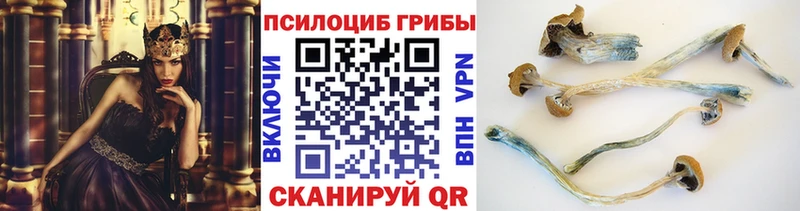 наркошоп  Подпорожье  Псилоцибиновые грибы MAGIC MUSHROOMS 